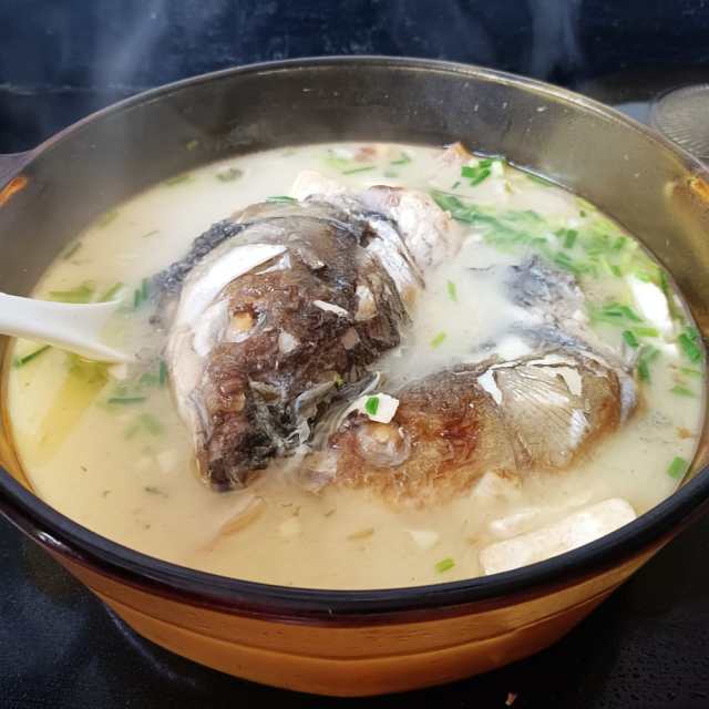 豆腐青鱼头汤